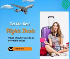 Best Online Travel Agency in USA | Travholis